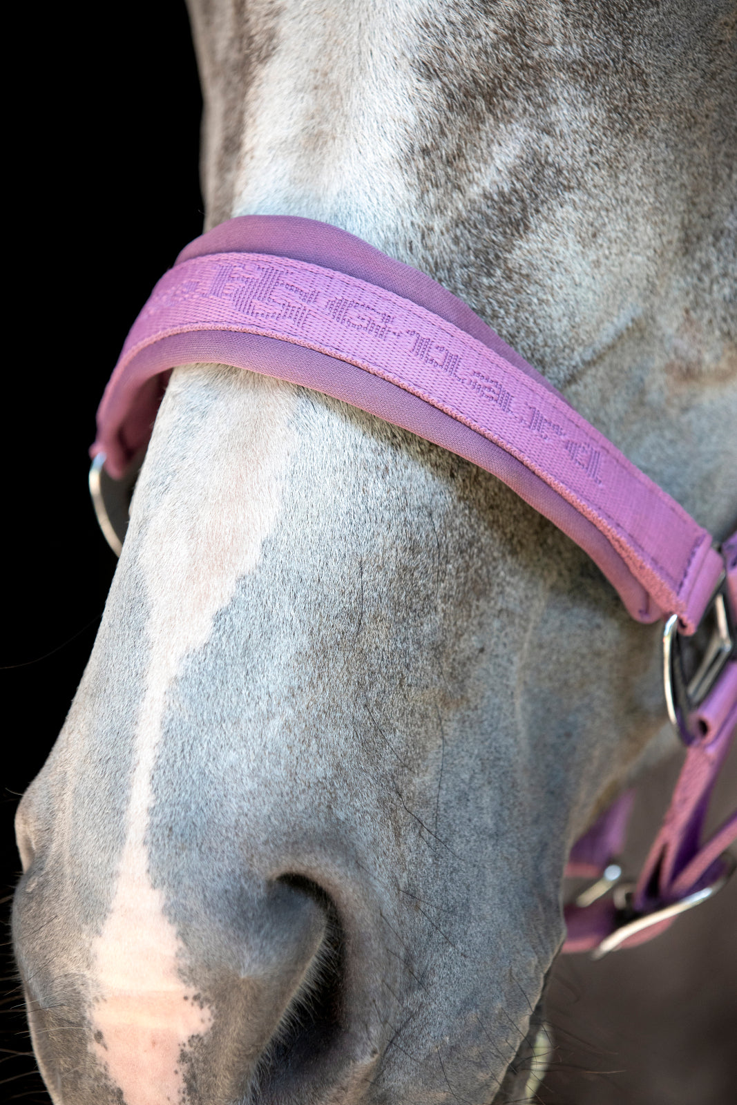 HorseGuard Diya 2.0 grime