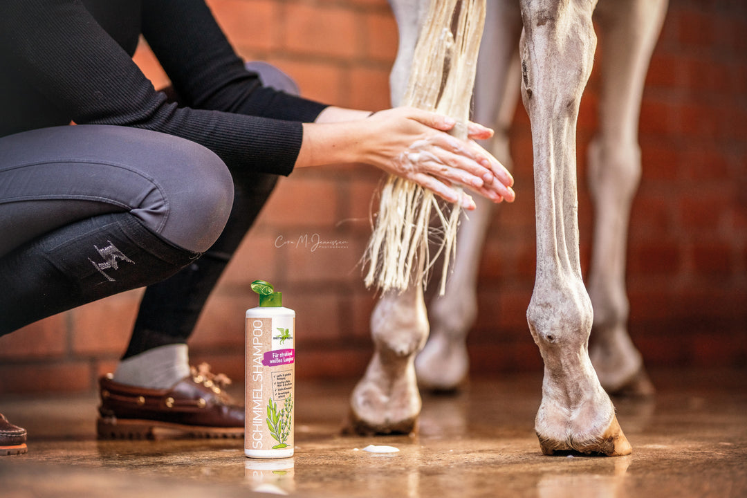 Bense & Eicke hesteshampoo med urter