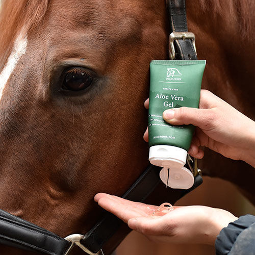 Blue Hors Aloe Vera Gel