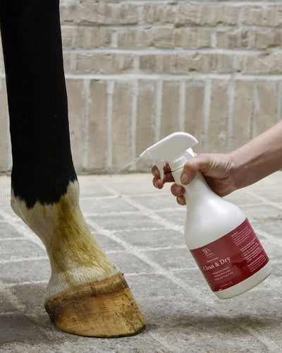 Blue Hors Clean & Dry