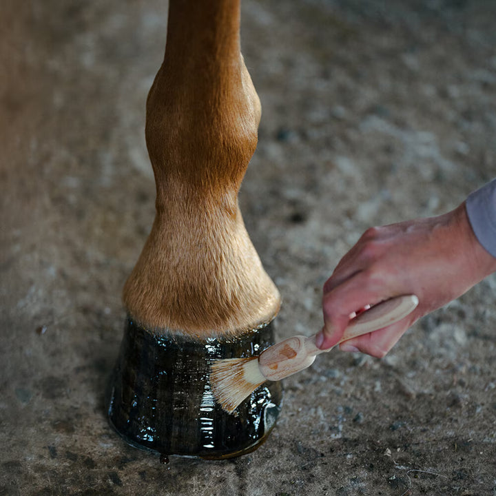 Borstiq Farm Hovpensel