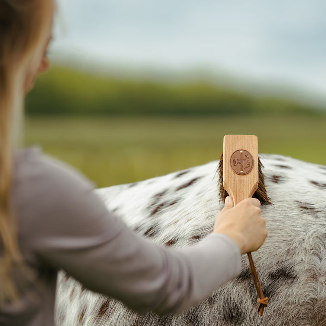 Borstiq Farm Islænder børste med håndtag