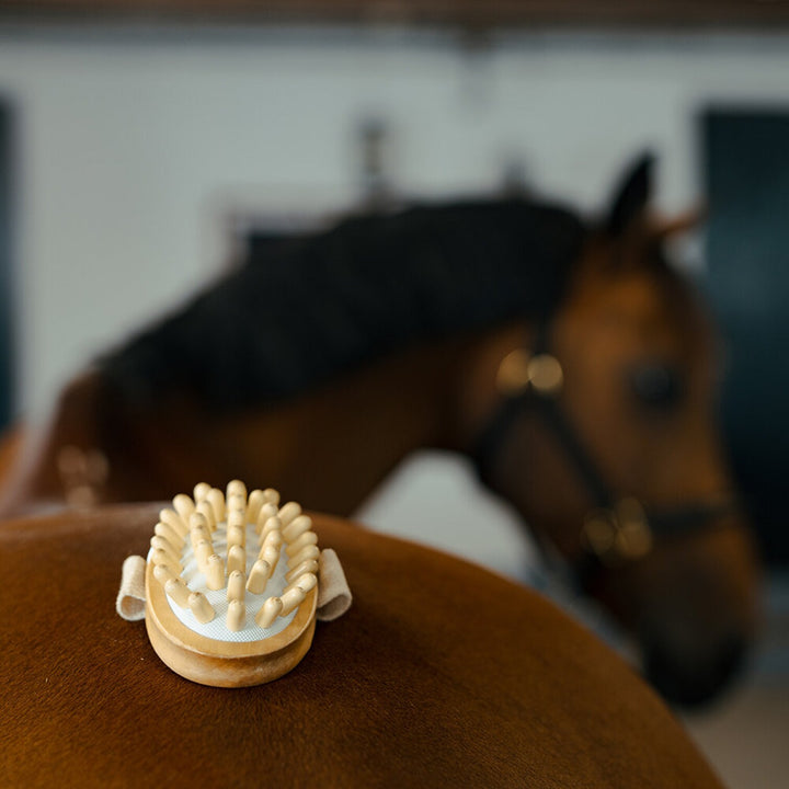 Borstiq Farm Massage børste med knopper