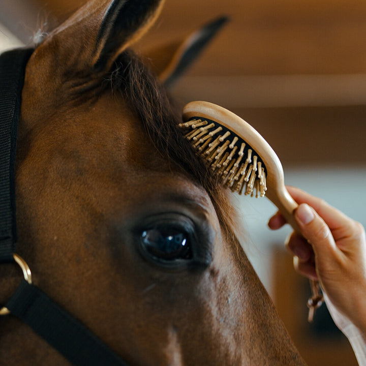 Borstiq Farm Massage man/hale børste rund