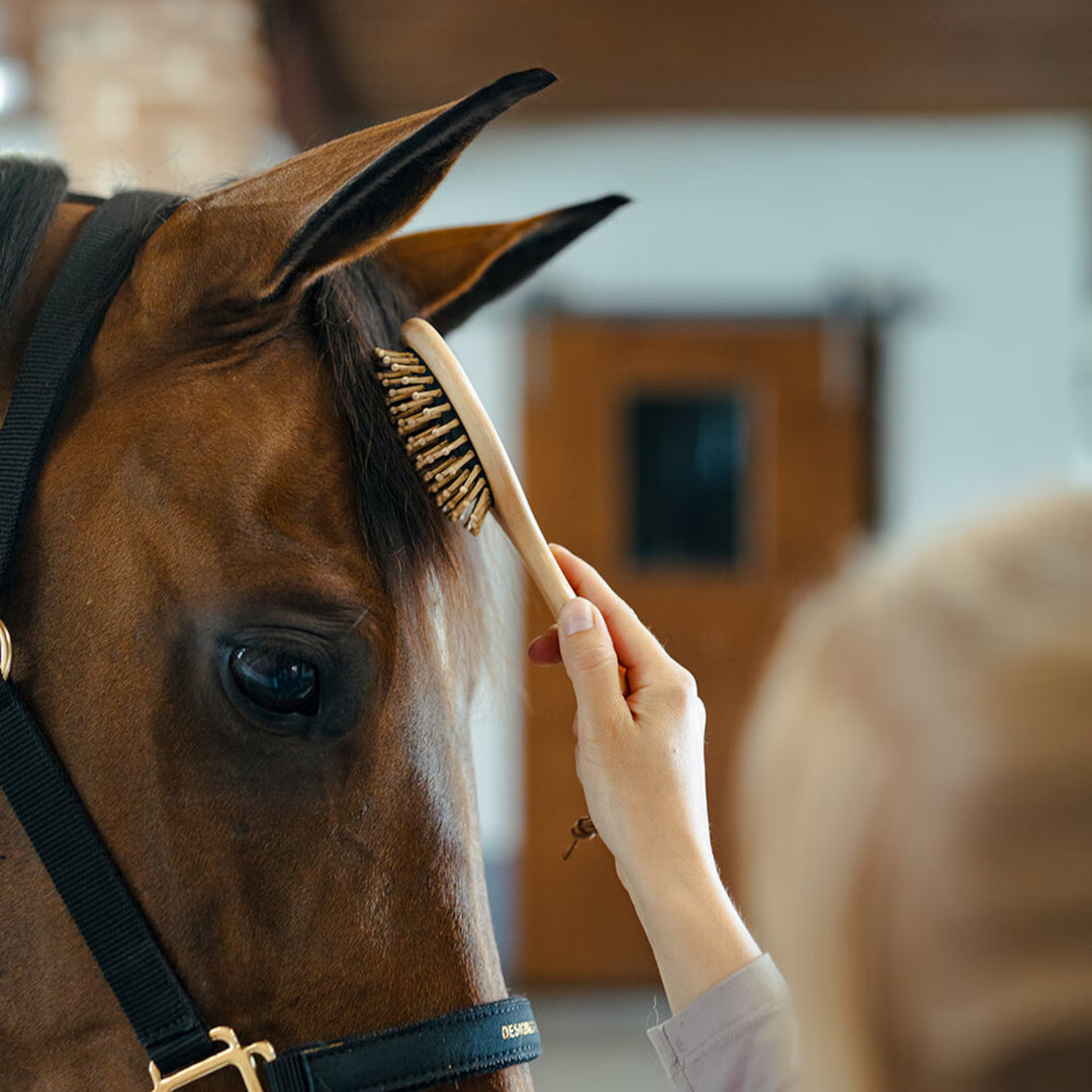 Borstiq Farm Massage man/hale børste rund