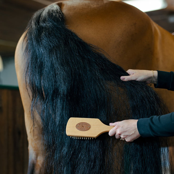 Borstiq Farm Massage stor man/hale børste