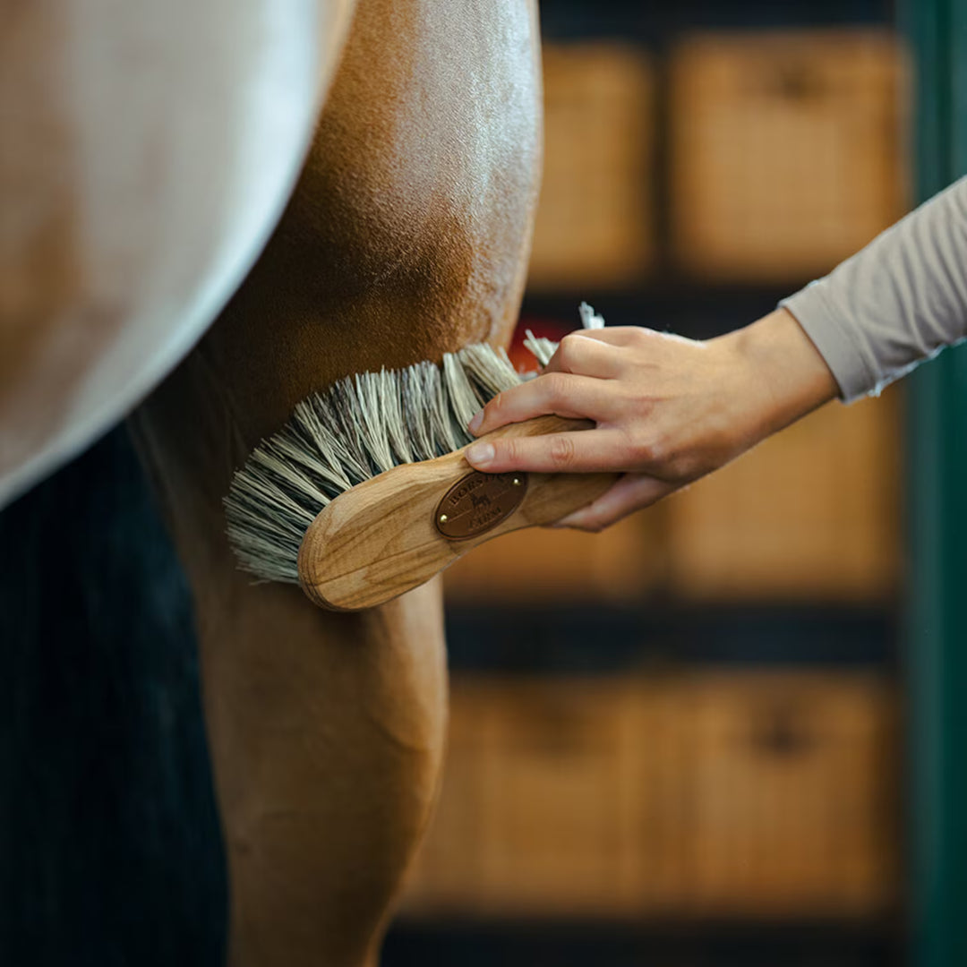 Borstiq Farm PP taljebørste