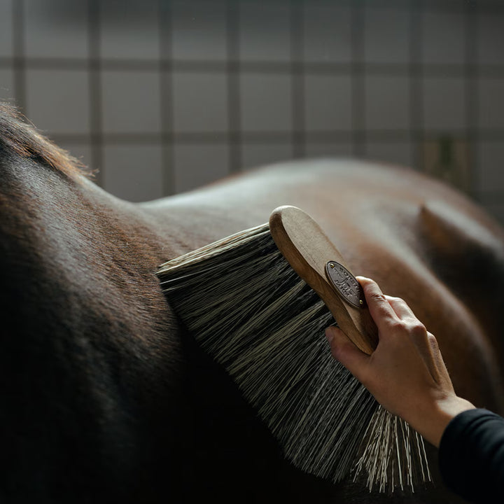 Borstiq Farm Taljebørste Pp XL