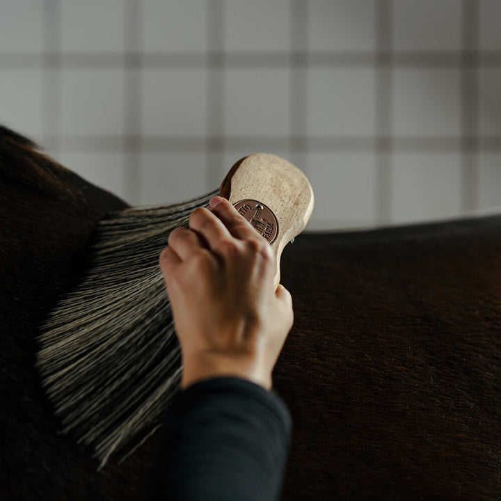 Borstiq Farm Taljebørste Pp XL