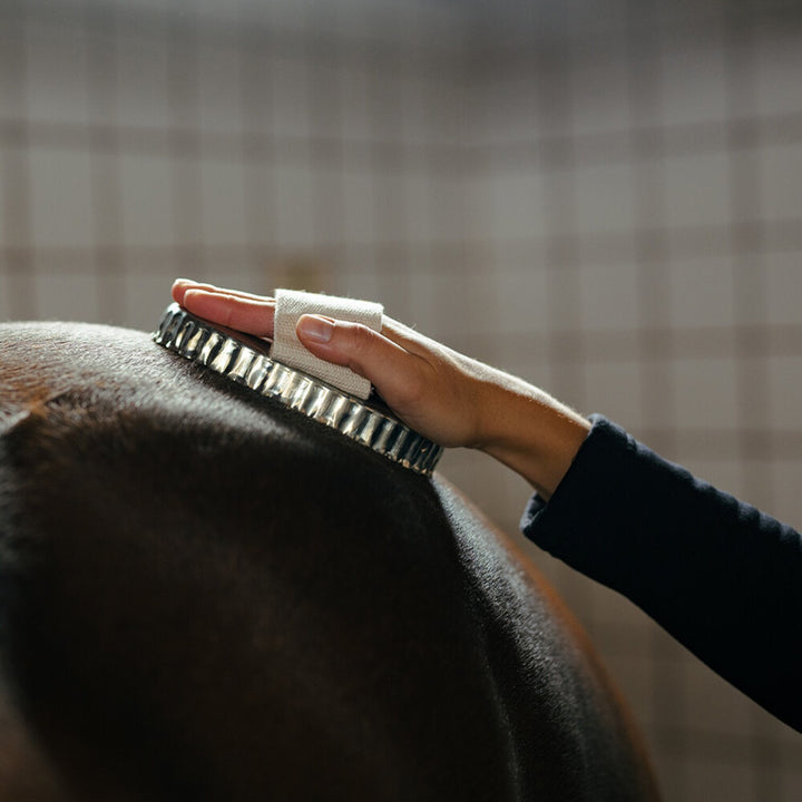 Borstiq Farm afstrygningsjern