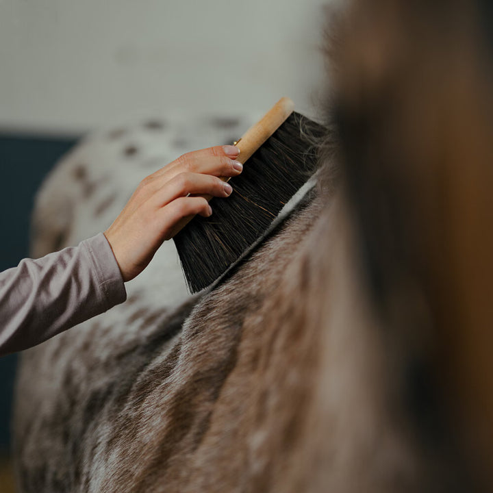 Borstiq Farm taljebørste Arenga
