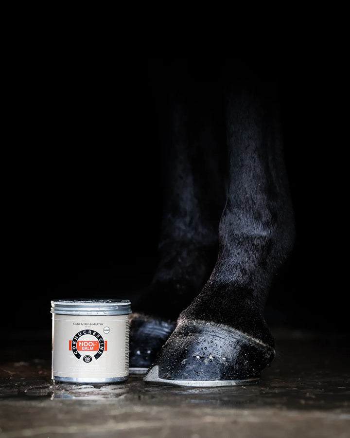 Carr & Day & Martin Clear Daily Hoof Balm