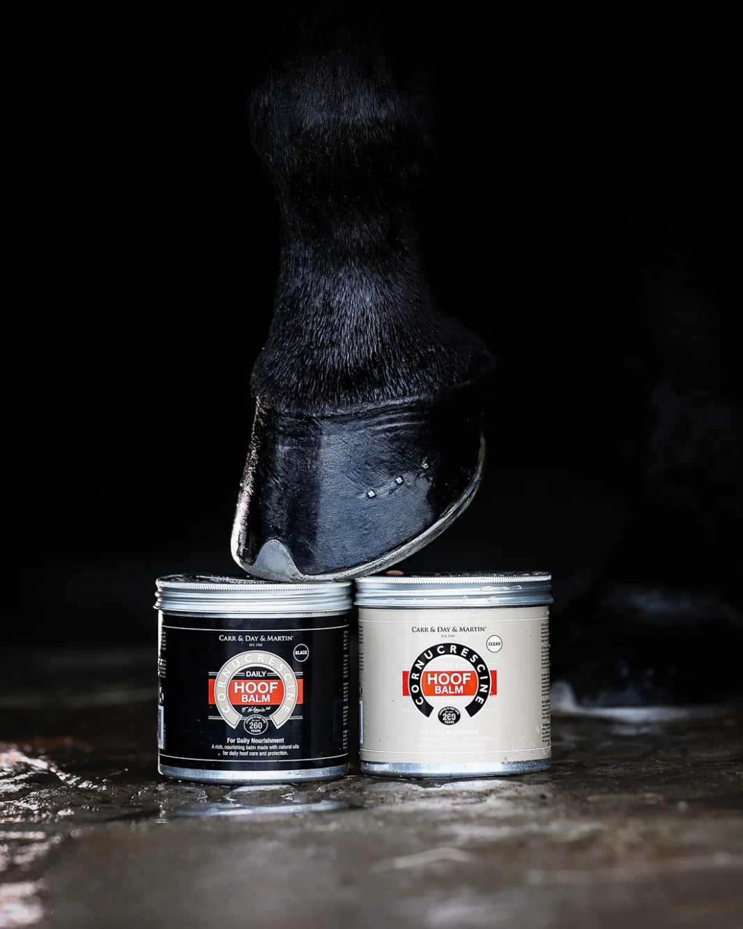 Carr & Day & Martin Clear Daily Hoof Balm