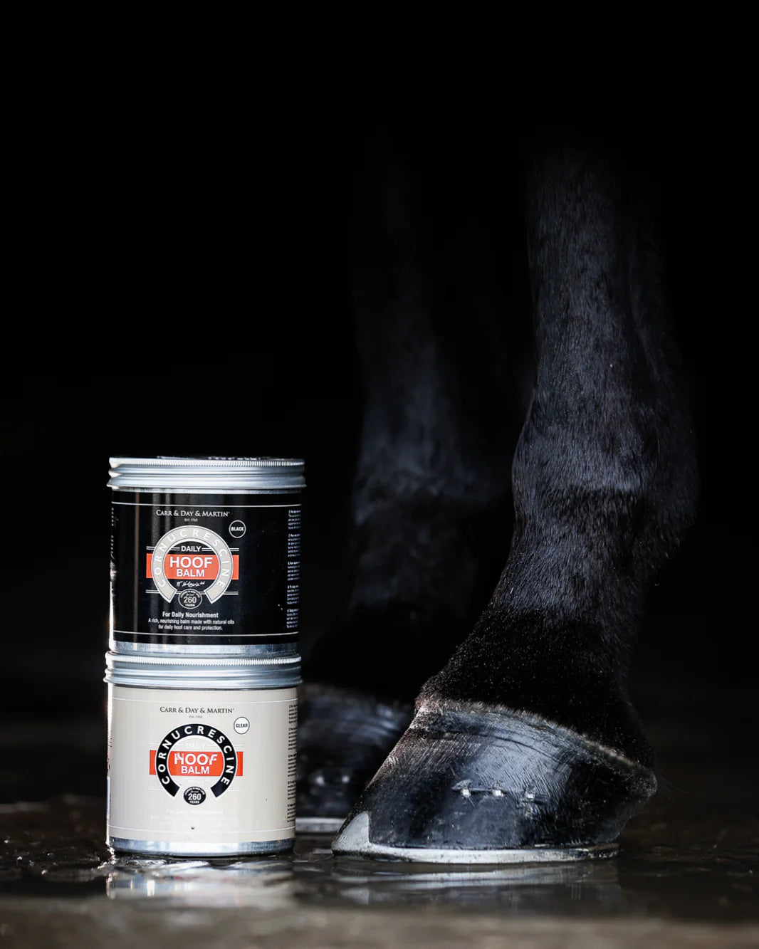 Carr & Day & Martin Clear Daily Hoof Balm