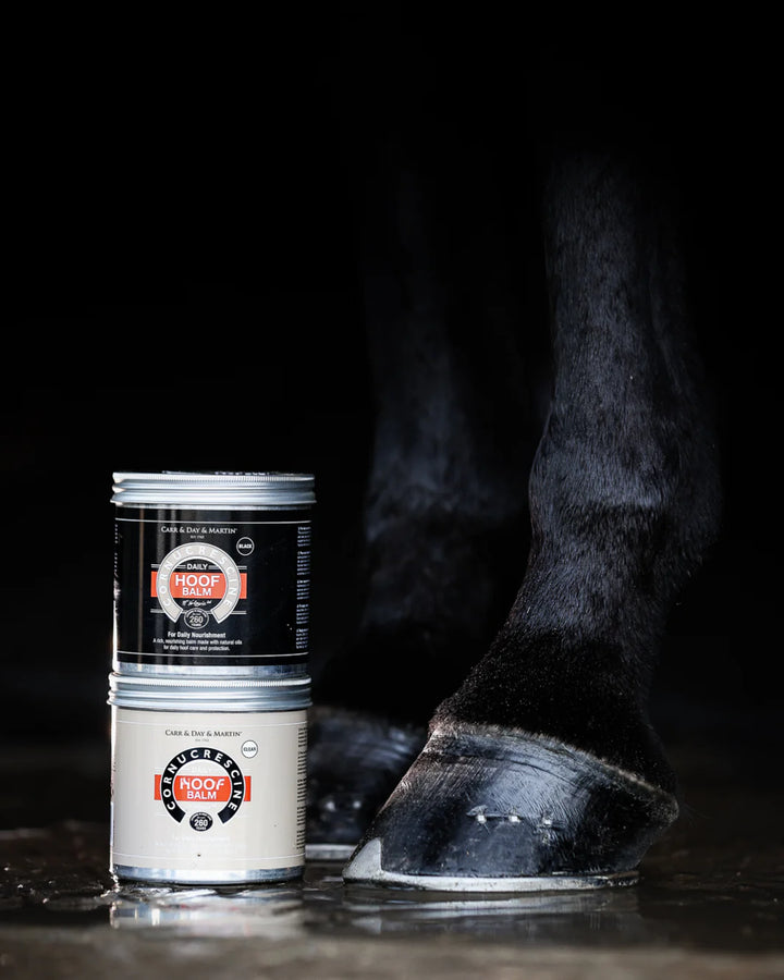 Carr & Day & Martin Clear Daily Hoof Balm