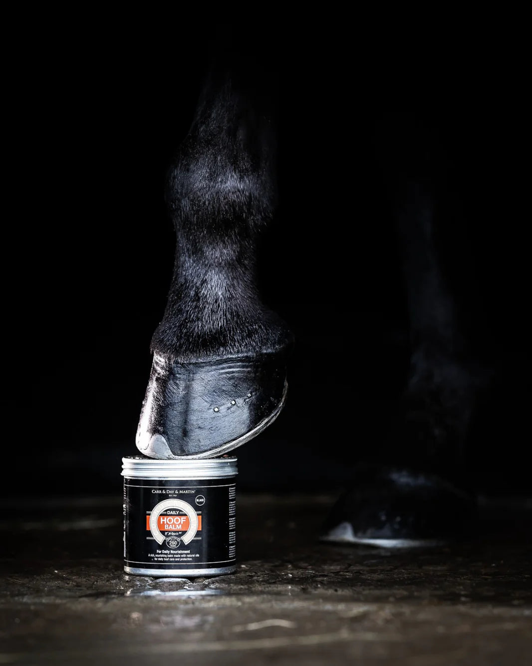 Carr & Day & Martin Clear Daily Hoof Balm
