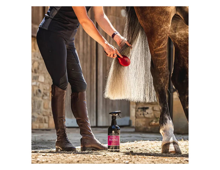 Carr & Day & Martin Canter Mane & Tail spray