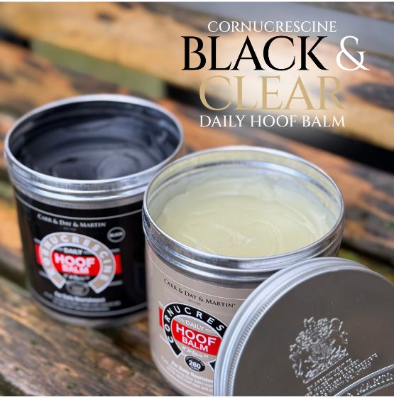 Carr & Day & Martin Clear Daily Hoof Balm