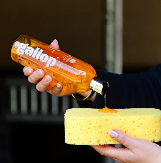 Carr & Day & Martin Gallop Colour shampoo palomino/kastanje