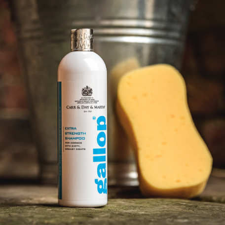 Carr & Day & Martin Gallop Extra Strength Shampoo