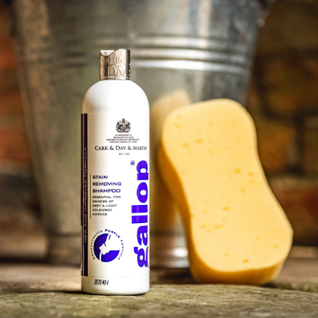 Carr & Day & Martin Gallop Stain removing shampoo