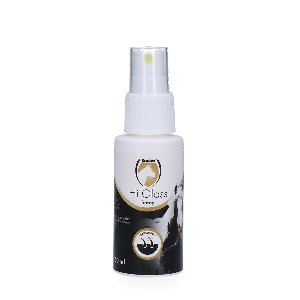 Excellent Hi Gloss spray