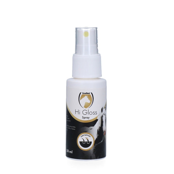 Excellent Hi Gloss spray