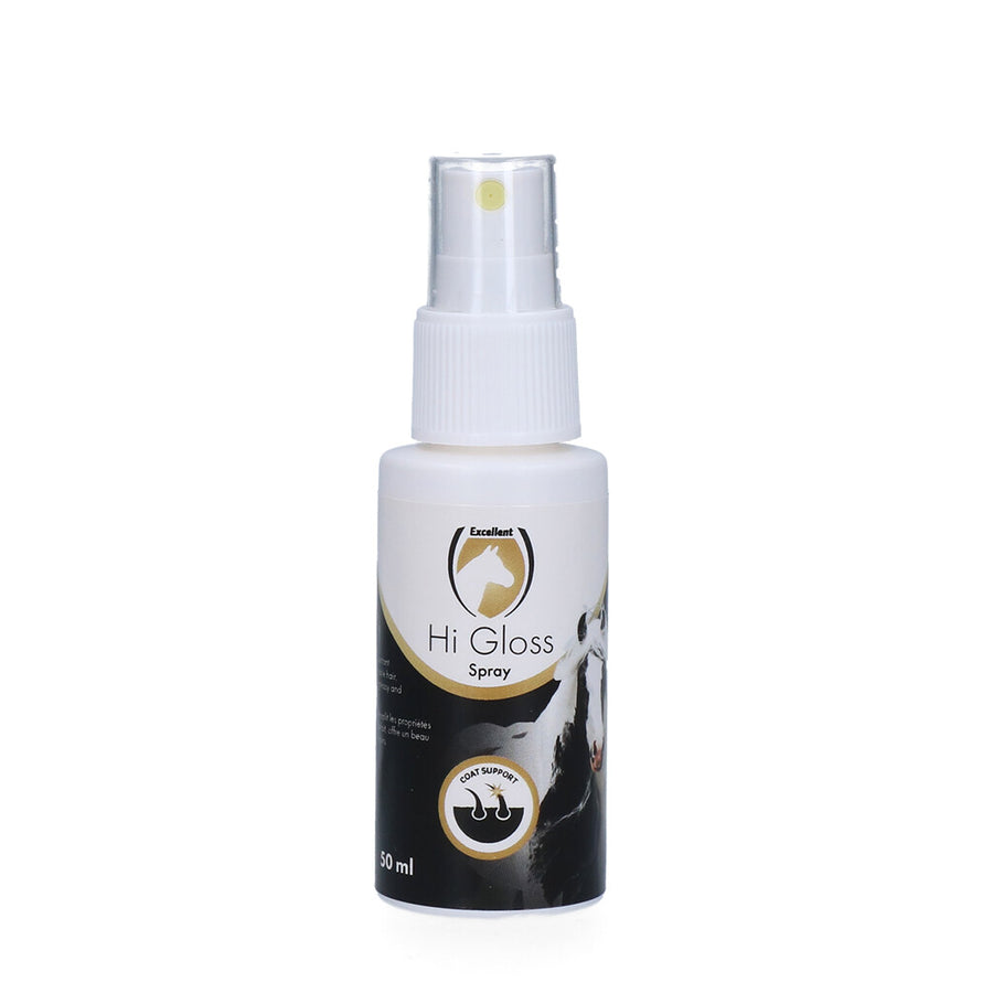 Excellent Hi Gloss spray