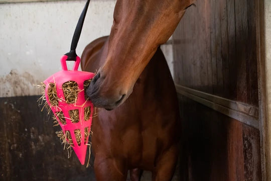 Excellent Hay Slowfeeder Fun & Flex gulerod