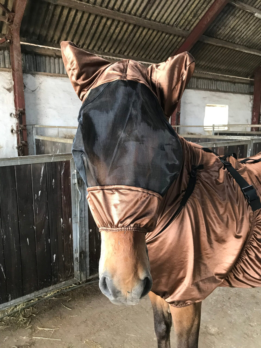 Hesta Gallery IceTack Fluemaske