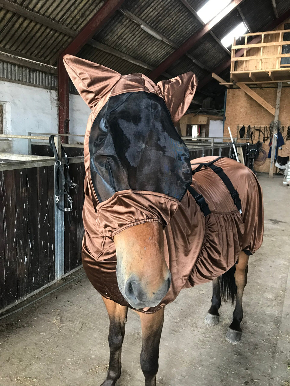 Hesta Gallery IceTack Fluemaske