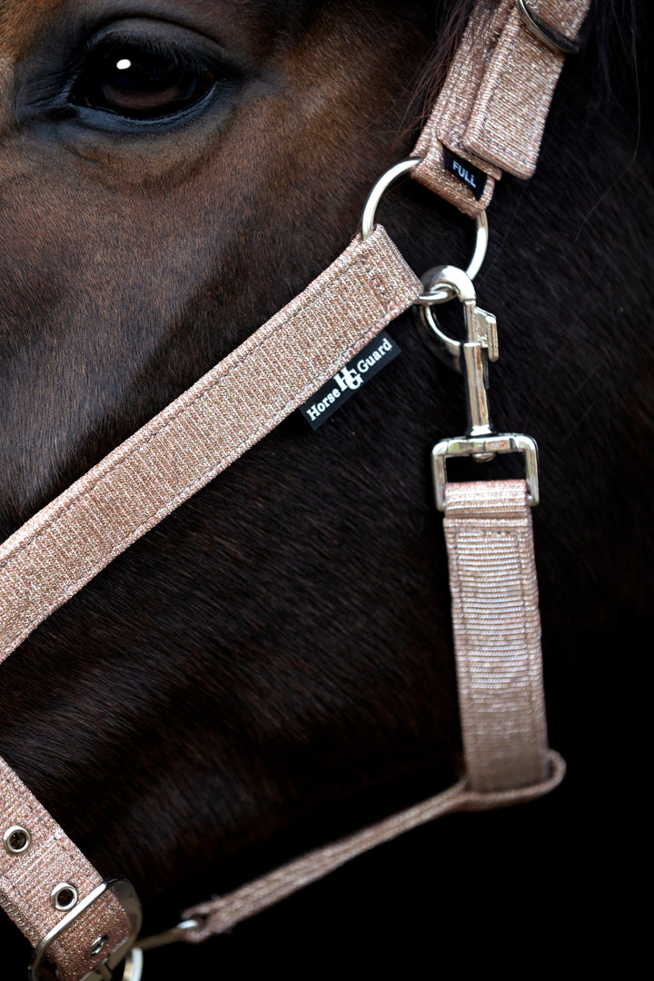 HorseGuard Iowa grime