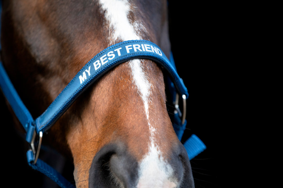 HorseGuard Malva grime med tekst