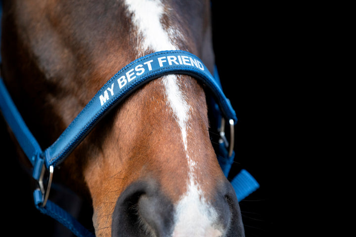 HorseGuard Malva grime med tekst