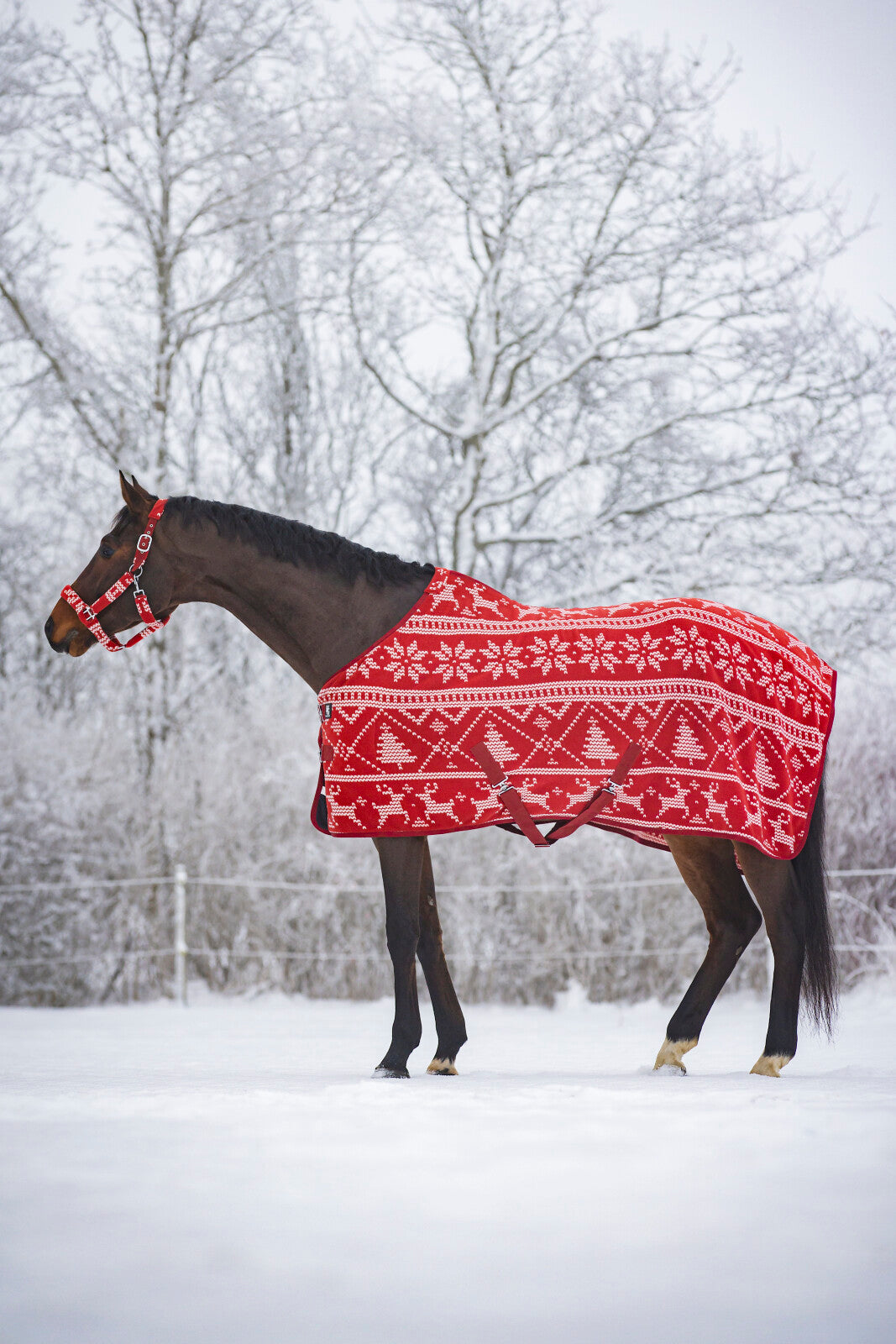 HorseGuard Christmas fleecedækken