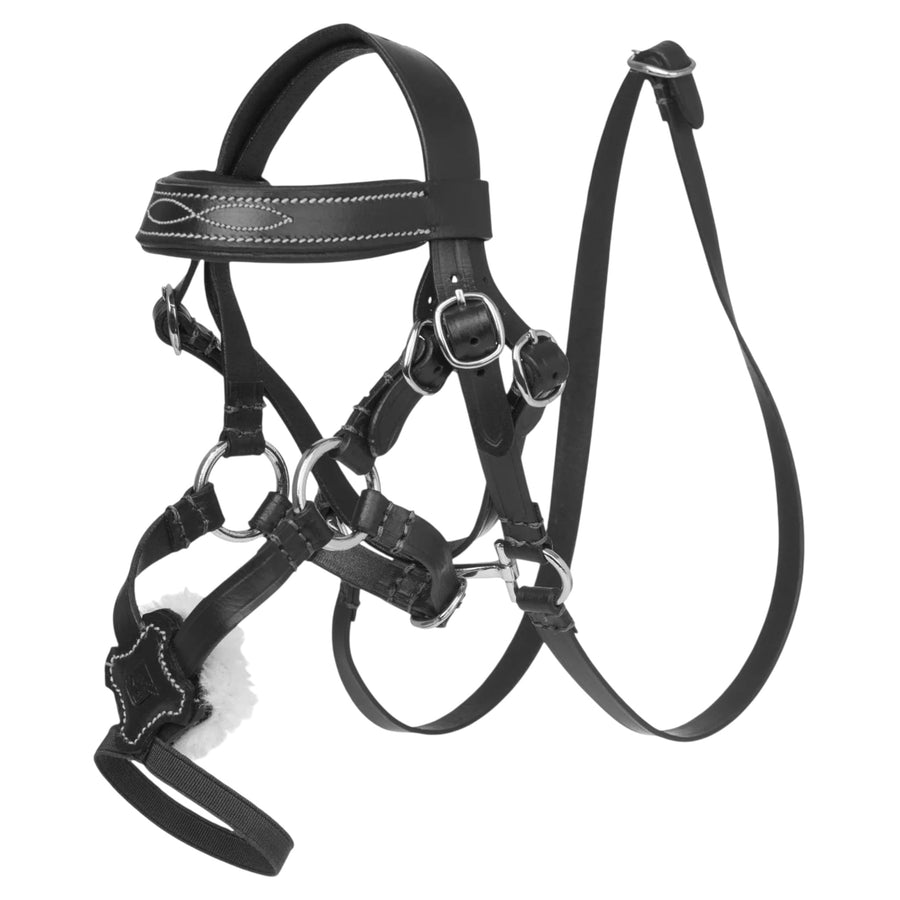 LeMieux Toy pony Grackle trense