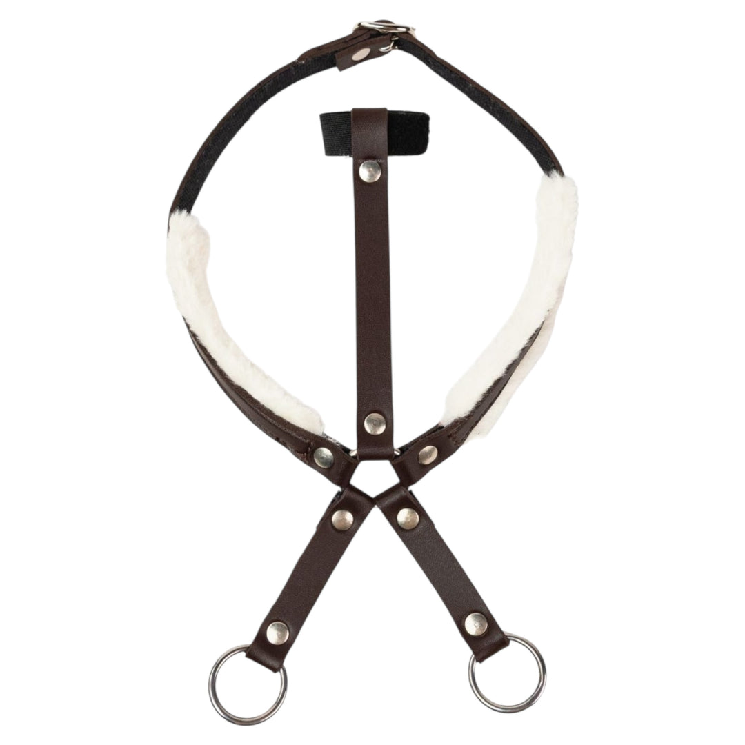 My Hobby Horse martingal