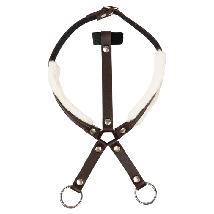My Hobby Horse martingal