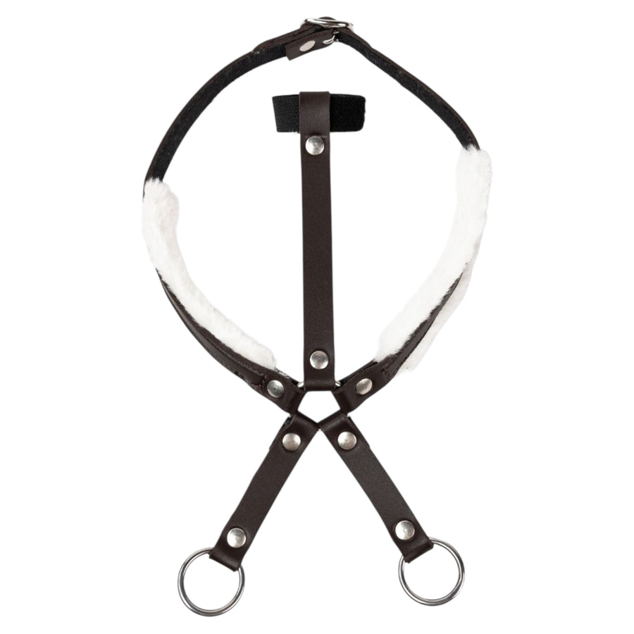 My Hobby Horse martingal
