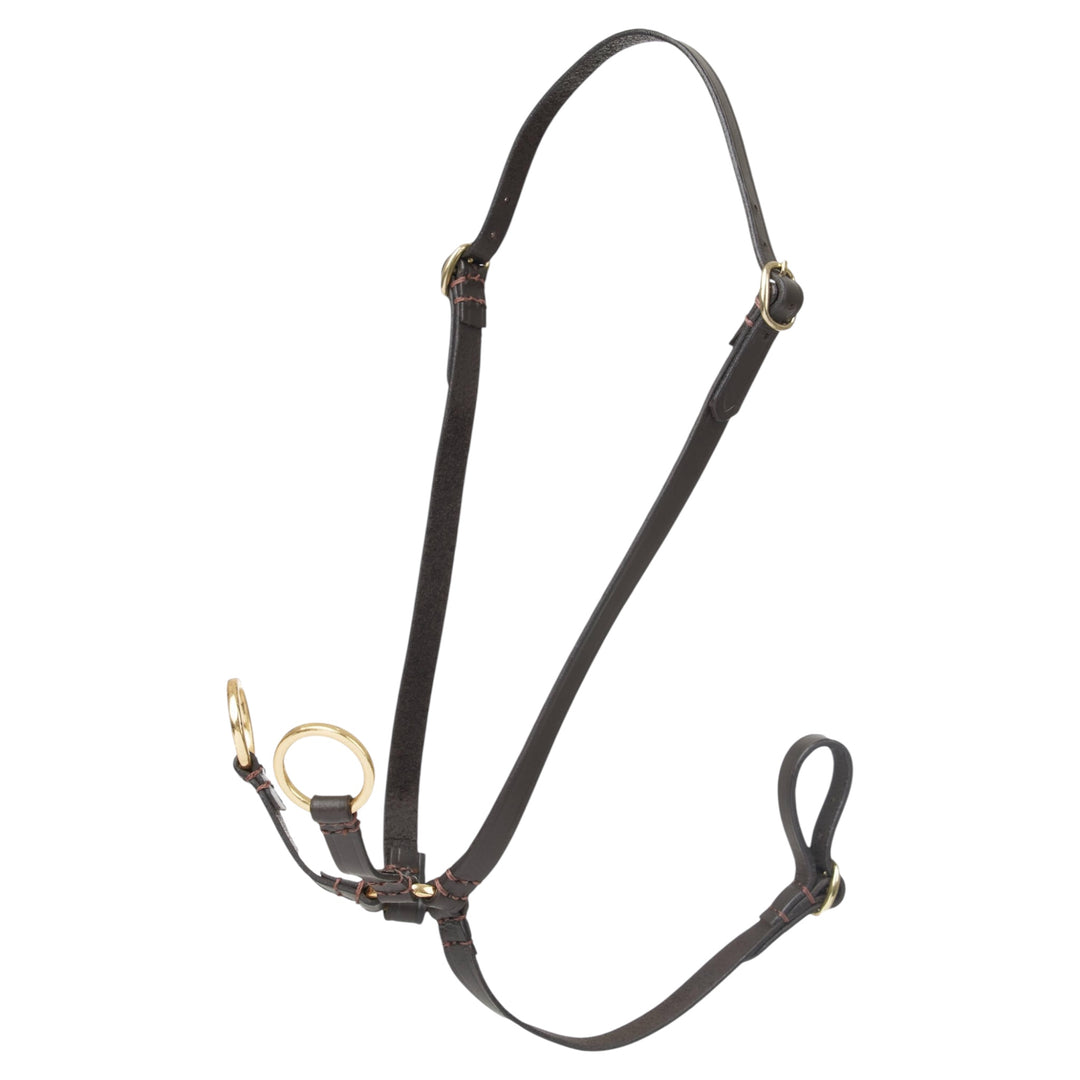LeMieux Hobby Horse martingal