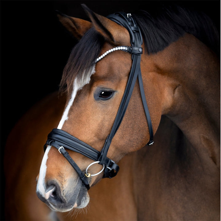 Catago Arlington trense