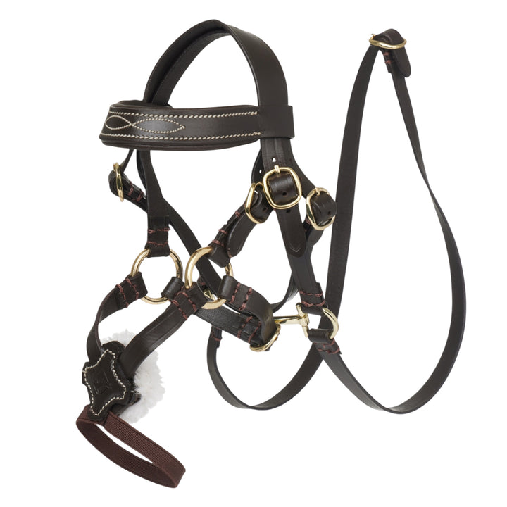 LeMieux Toy pony Grackle trense