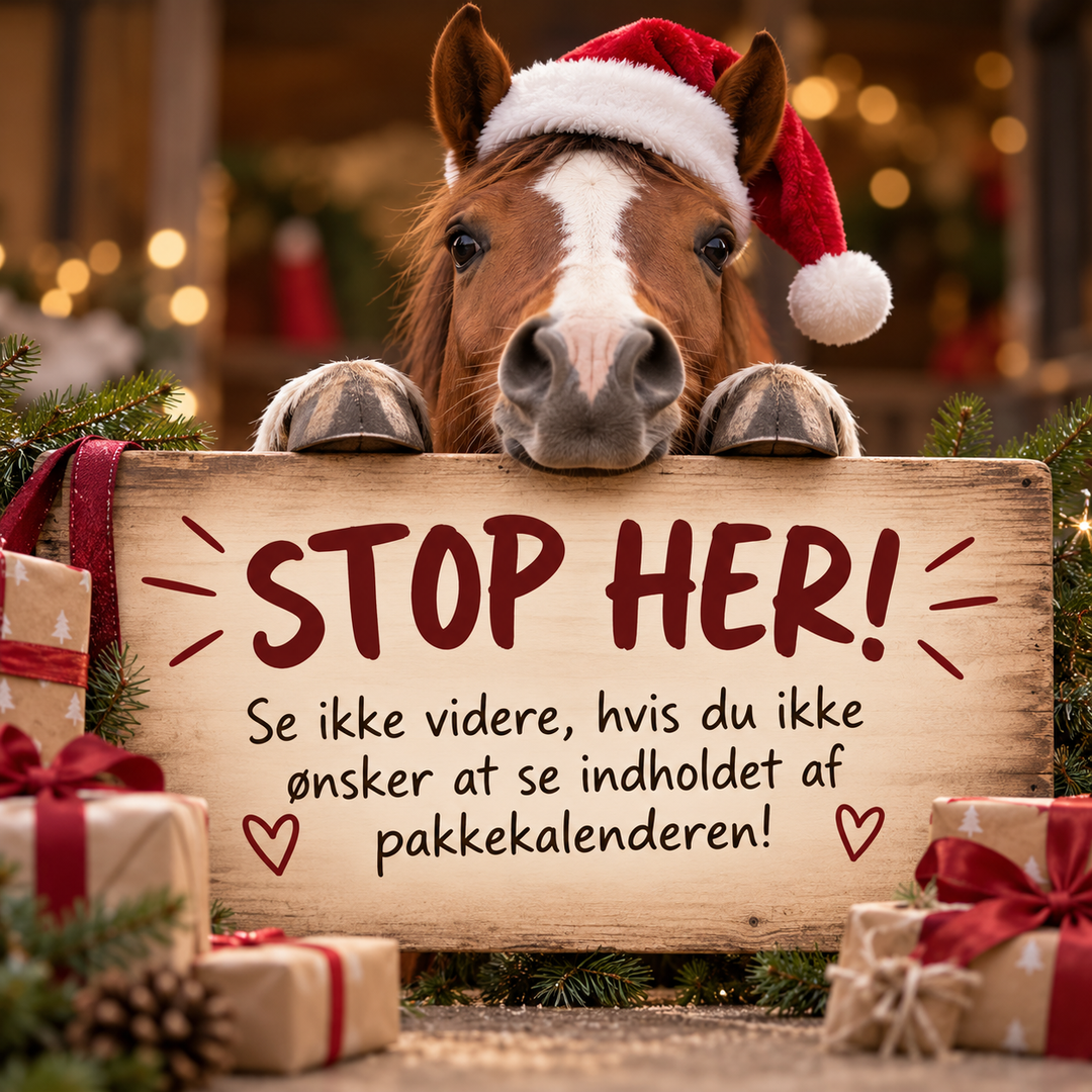 Pakkekalender 24 stk. Teen/Voksen- Den gode