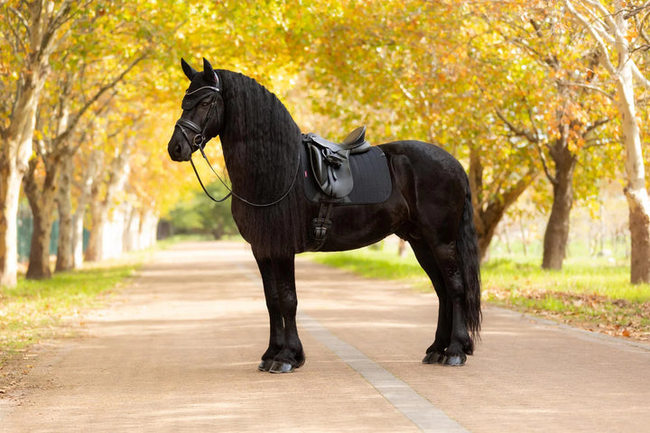 LeMieux Essence Dressage Square underlag