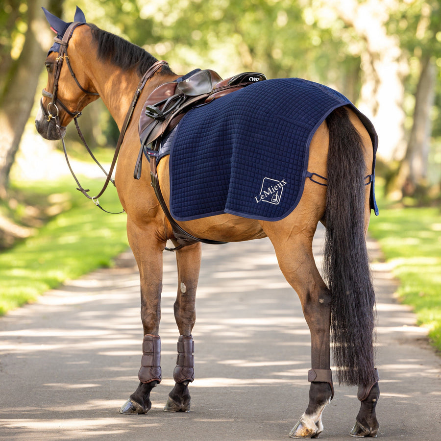 LeMieux Arika Clima-Tek lændedækken