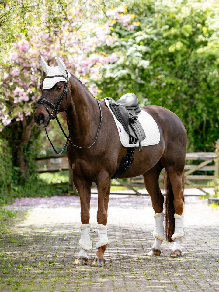 LeMieux Brilliance dressurunderlag