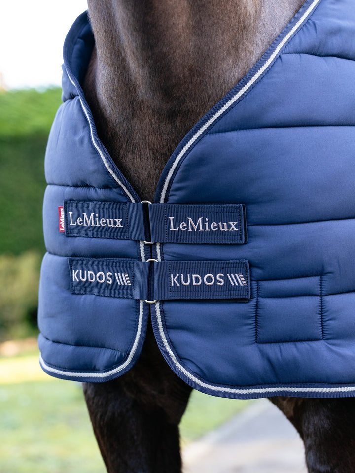 LeMieux Kudos Liner 100g