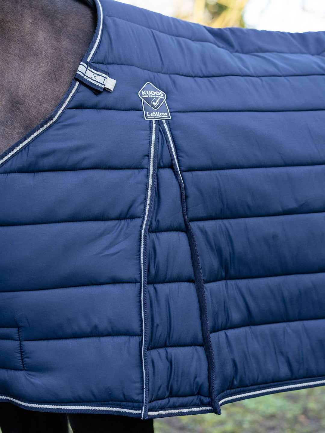 LeMieux Kudos Liner 100g