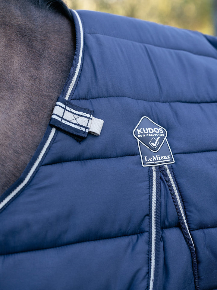 LeMieux Kudos Liner 100g