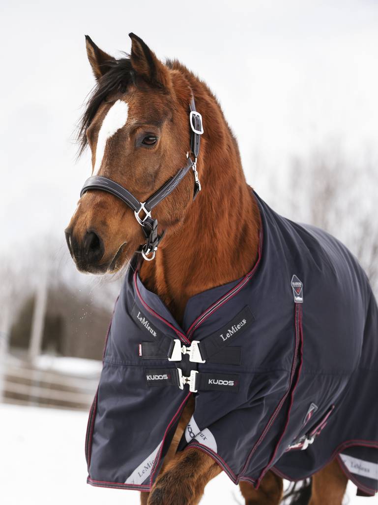LeMieux Kudos Turnout 350g inkl aftagelig hals